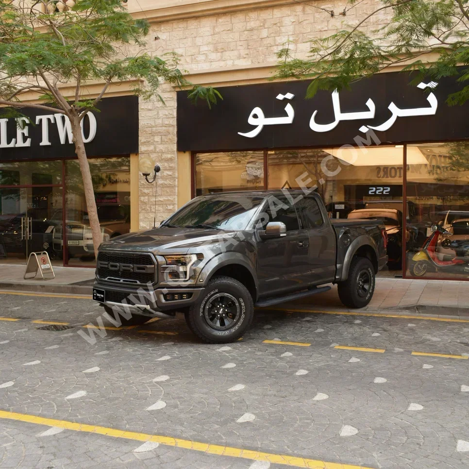 فورد رابتر 2018 اوتوماتيك 182,285 كم 6 سلندر دفع رباعي بيكب رمادي