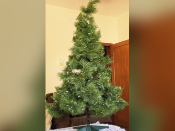 Plant - Artificial - Green