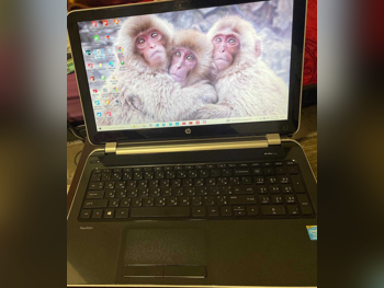 Laptops HP - Omen 2024 - Silver - Windows 11 - Intel - Core i5 -Memory (Ram): 4 GB