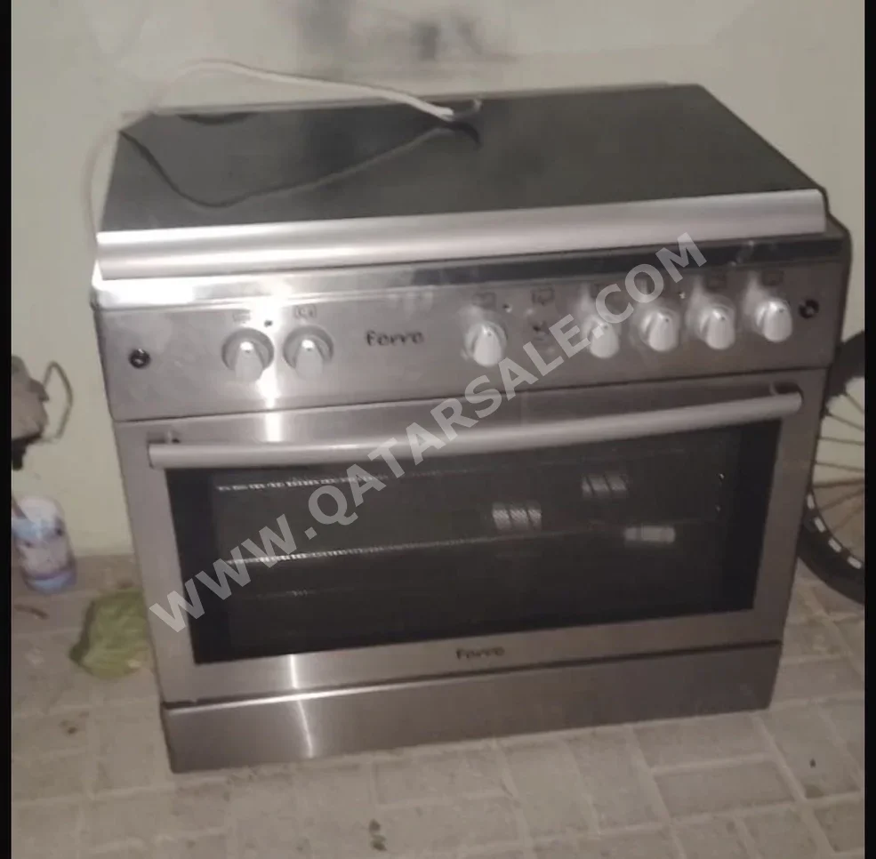 Ferre  Oven  - Gas & Electric  - Silver