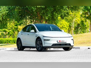 Tesla Model Y SUV ( AWD ) White 2026