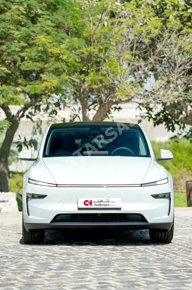 تسلا موديل واي اس يو في ( أي دبليو دي ) أبيض 2026