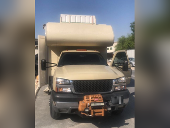 كرفان - 2005 - بيج -صنع في الولايات المتحدة الأمريكية (الولايات المتحدة الأمريكية) - 101,000 كم