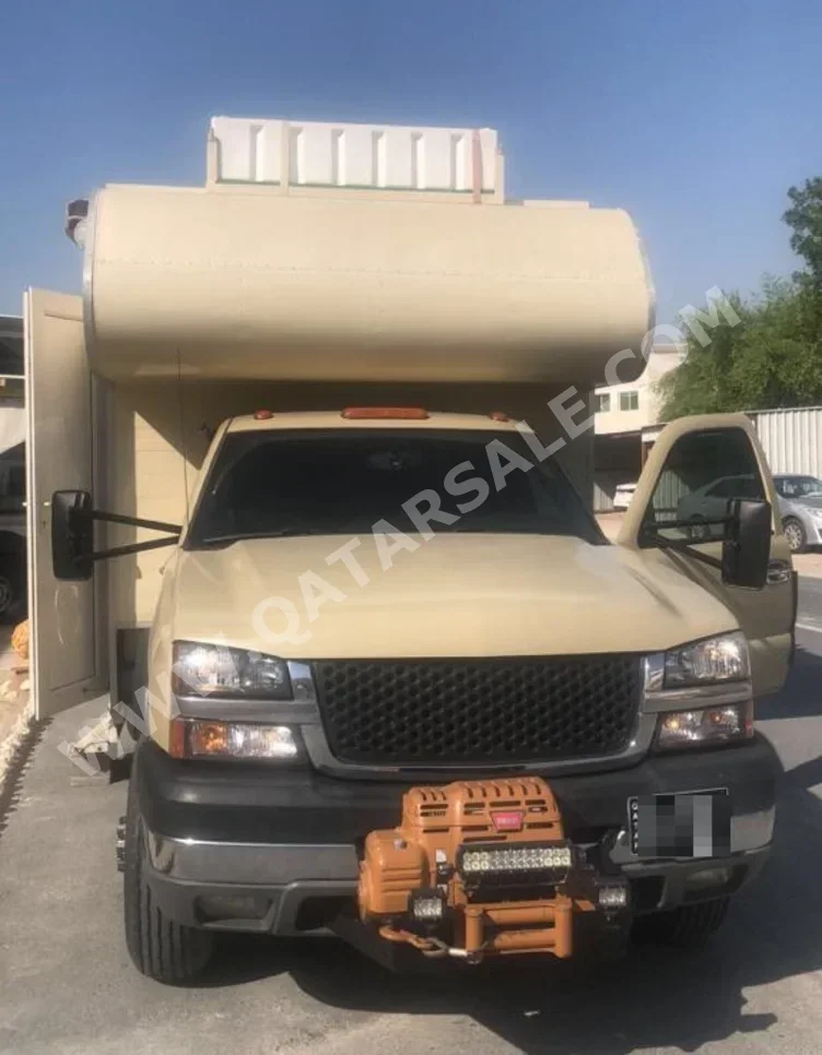 كرفان - 2005 - بيج -صنع في الولايات المتحدة الأمريكية (الولايات المتحدة الأمريكية) - 101,000 كم