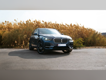 BMW  X-Series  X5 40i  2023  Automatic  97,000 Km  6 Cylinder  Four Wheel Drive (4WD)  SUV  Gray  With Warranty