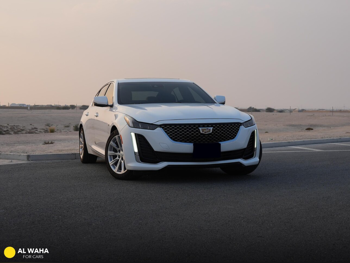 كاديلاك  سي تي 5  2023  اوتوماتيك  35,000 كم  4 سلندر  سحب امامي  سيدان  أبيض و أسود  تحت الضمان