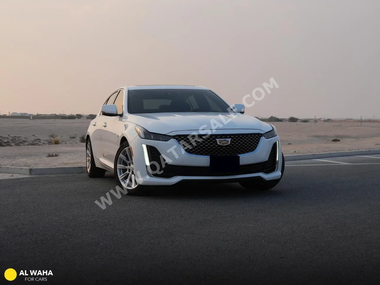 Cadillac  CT5  2023  Automatic  35,000 Km  4 Cylinder  Front Wheel Drive (FWD)  Sedan  White and Black  With Warranty