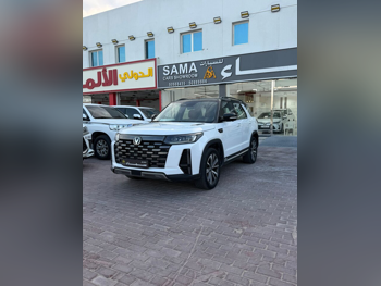 تشانجان  سي اس  95  2024  اوتوماتيك  37,000 كم  4 سلندر  دفع رباعي  اس يو في  أبيض  تحت الضمان