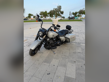 هارلي ديفيدسون روود كينغ كلاسك - 2024 - اللون رمادي - الضمان