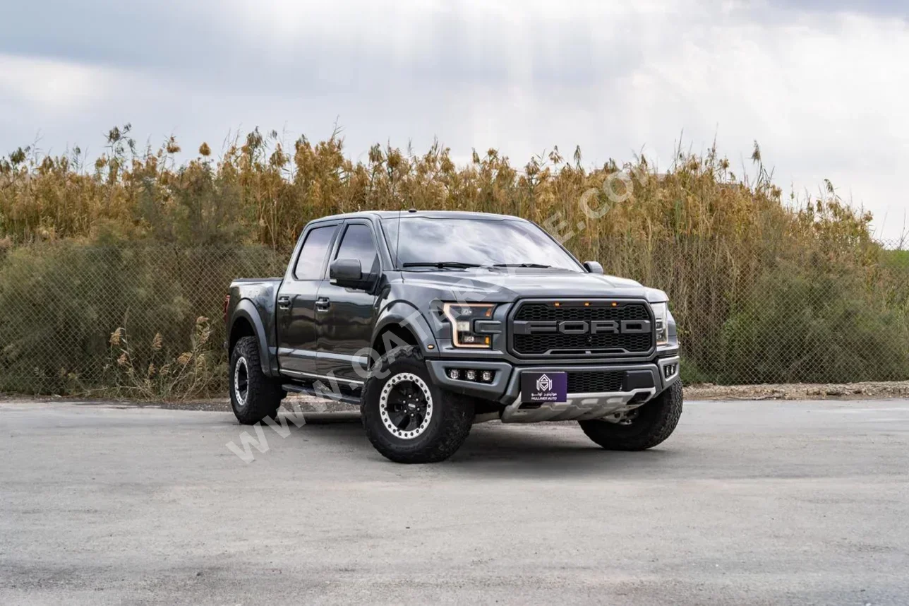 Ford  Raptor  2017  Automatic  167,000 Km  6 Cylinder  Four Wheel Drive (4WD)  Pick Up  Gray