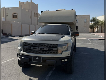 كرفان - 2013  - بيج  -صنع في الولايات المتحدة الأمريكية (الولايات المتحدة الأمريكية)  - 130,000 كم