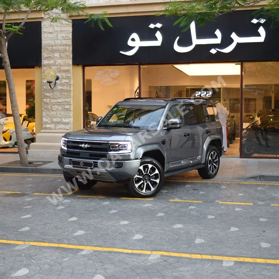 بي واي دي  ليوبيرد 5  2025  اوتوماتيك  1,160 كم  4 سلندر  دفع رباعي  اس يو في  فضي