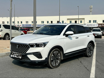 بيستون  تي 77  2023  اوتوماتيك  95,000 كم  4 سلندر  دفع خلفي  اس يو في  أبيض  تحت الضمان