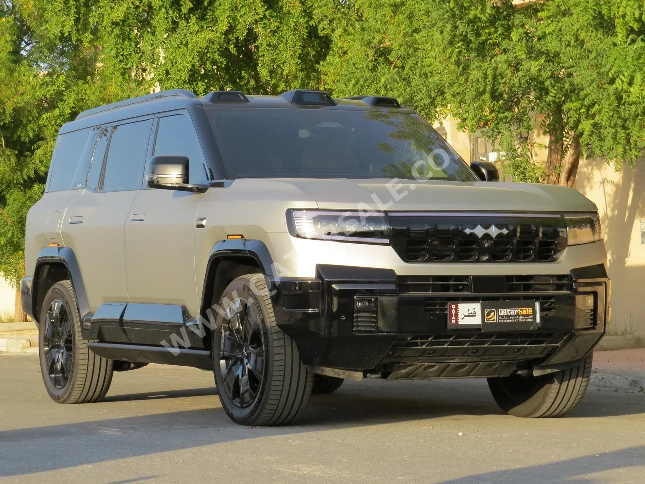 بي واي دي  ليوبارد 8  2025  اوتوماتيك  46,000 كم  6 سلندر  دفع رباعي  اس يو في  ذهبي  تحت الضمان