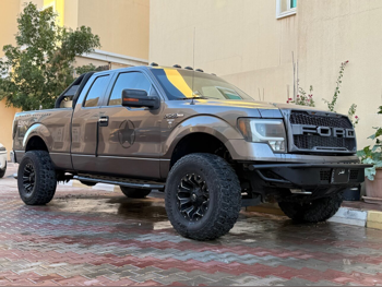 فورد  أف  150  2013  اوتوماتيك  139,159 كم  8 سلندر  دفع رباعي  بيكب  رمادي