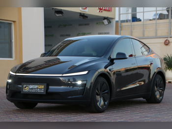 Tesla  Model Y  Long Range  2025  Automatic  12,000 Km  0 Cylinder  All Wheel Drive (AWD)  SUV  Gray  With Warranty