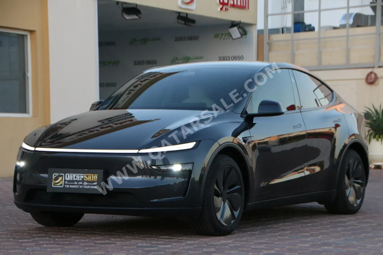 Tesla  Model Y  Long Range  2025  Automatic  12,000 Km  0 Cylinder  All Wheel Drive (AWD)  SUV  Gray  With Warranty