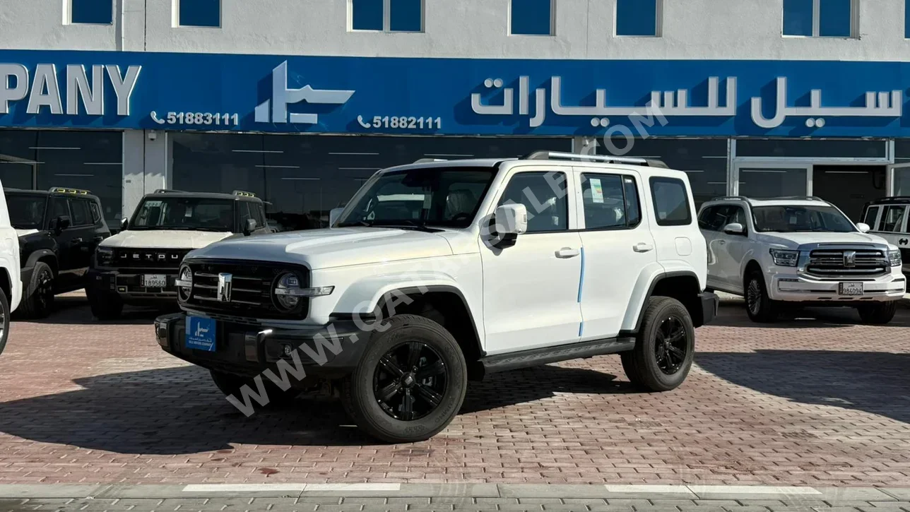 جي دبليو ام  تانك  300  2026  اوتوماتيك  0 كم  4 سلندر  دفع كلي مستمر  اس يو في  أبيض