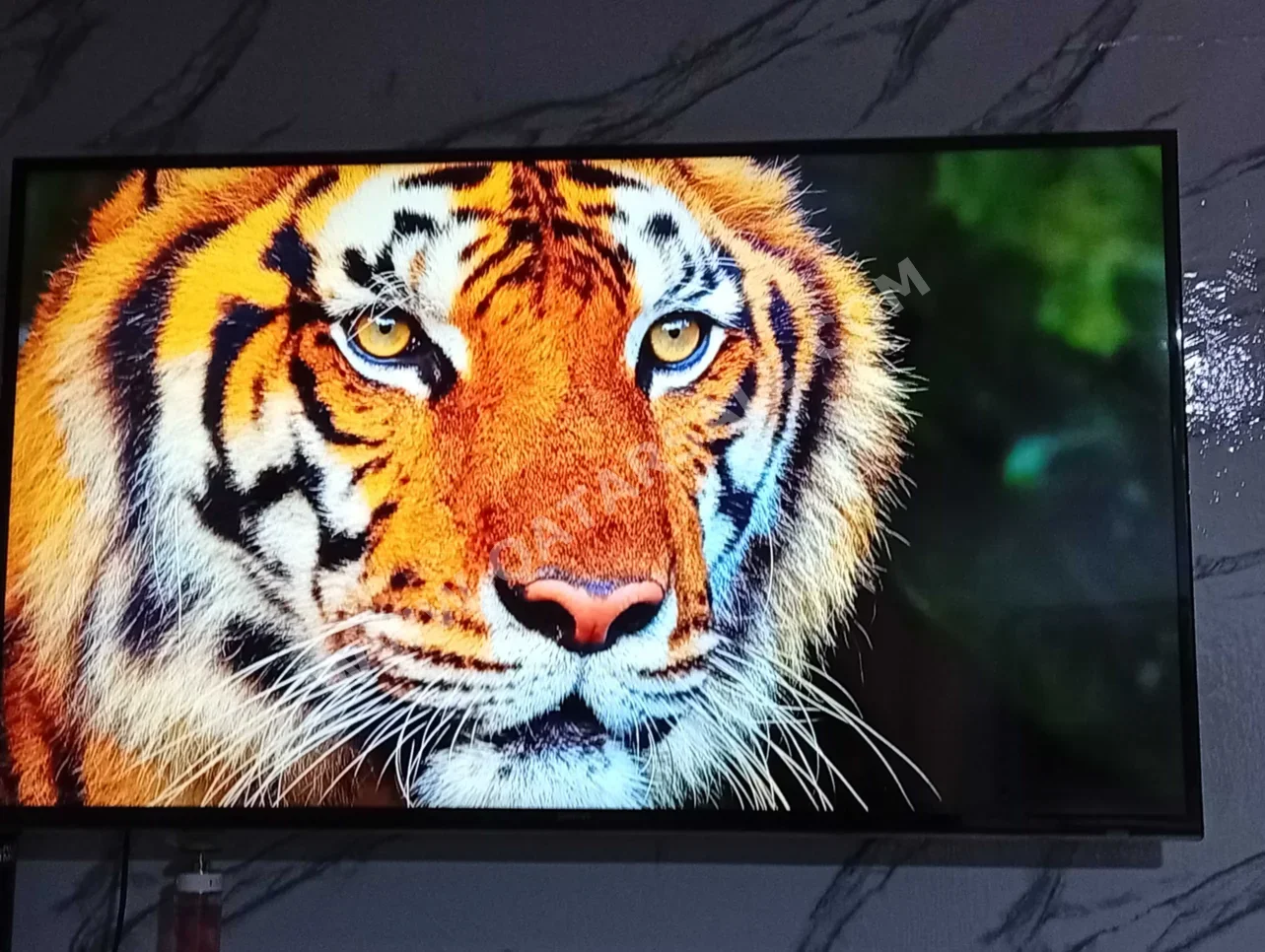 تلفاز سامسونج  - 50 بوصة  - فل اتش دي