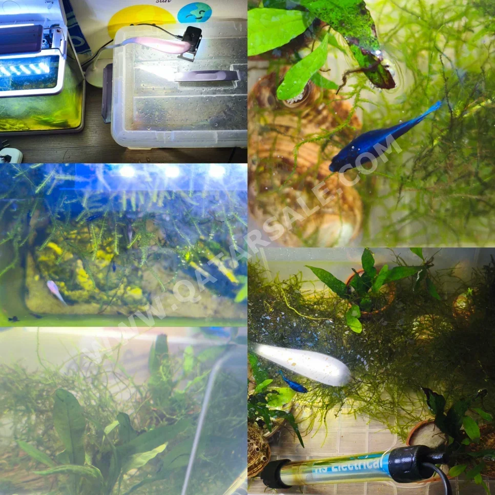 أحواض السمك مع محرك