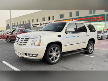 كاديلاك  اسكيليد  اي اس في  2014  اوتوماتيك  181,000 كم  8 سلندر  دفع رباعي  اس يو في  أبيض