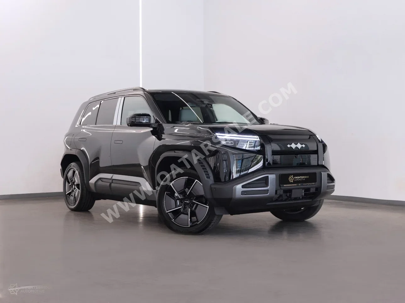 بي واي دي  ليوبيرد 3  2025  اوتوماتيك  0 كم  0 سلندر  دفع كلي مستمر  اس يو في  أسود  تحت الضمان