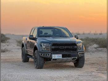 فورد  رابتر  2019  اوتوماتيك  135,000 كم  6 سلندر  دفع رباعي  بيكب  رمادي