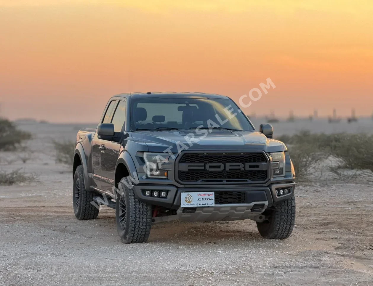 فورد  رابتر  2019  اوتوماتيك  135,000 كم  6 سلندر  دفع رباعي  بيكب  رمادي