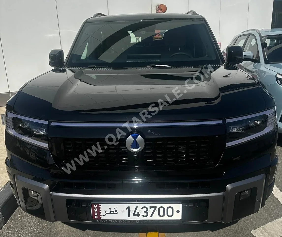 BYD  Denza B8  4 Cylinder  SUV ( AWD )  Black  2026