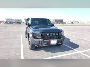 جيتور  تي 2  2025  اوتوماتيك  19,400 كم  4 سلندر  دفع رباعي  اس يو في  أسود  تحت الضمان