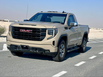 GMC  Sierra  Elevation  2023  Automatic  175,000 Km  8 Cylinder  Four Wheel Drive (4WD)  Pick Up  Beige