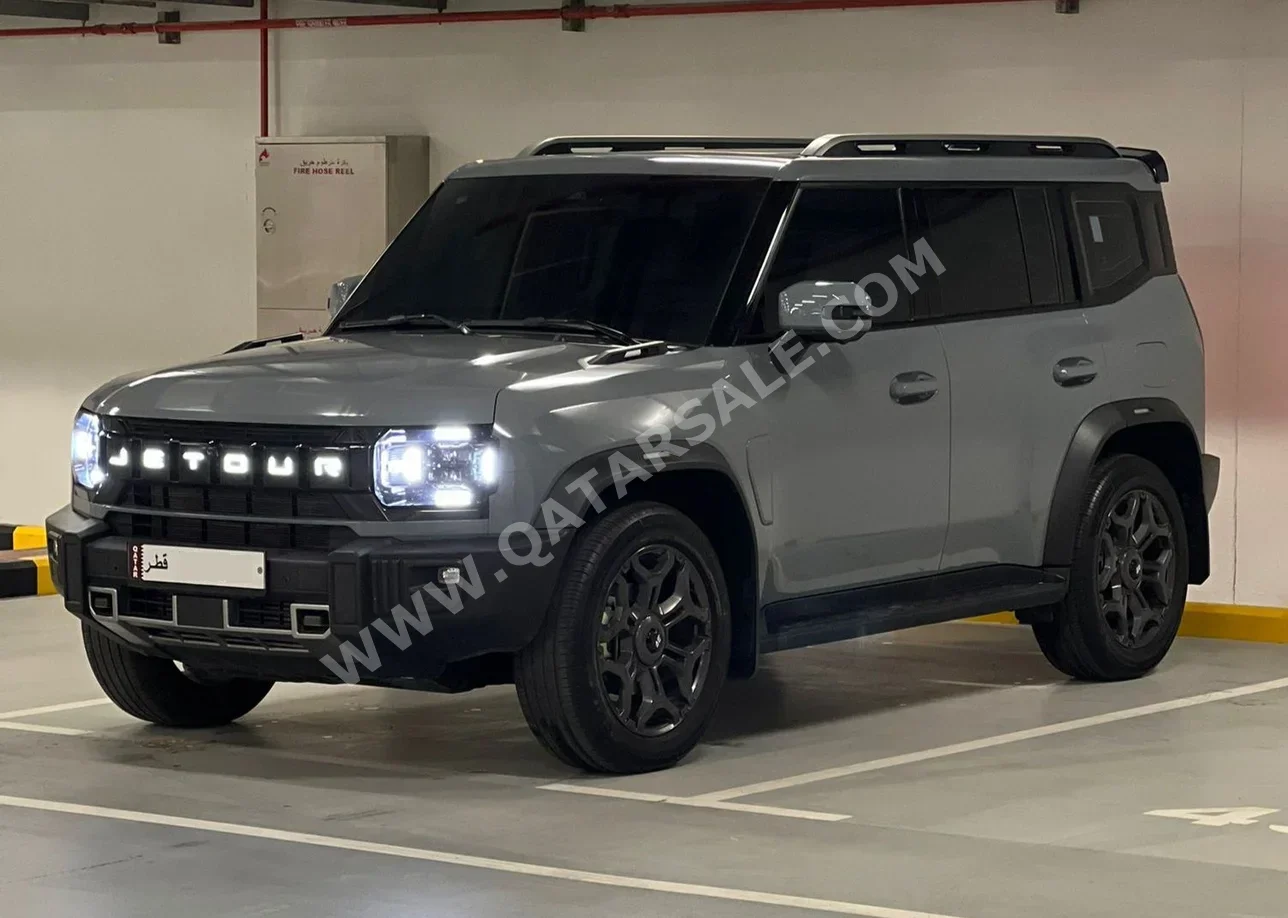 جيتور  تي 2  2024  اوتوماتيك  34,000 كم  4 سلندر  دفع رباعي  اس يو في  رمادي  تحت الضمان