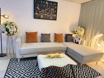 Sofas, Couches & Chairs Homes r Us  L shape