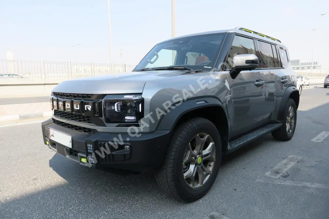 جيتور  تي 2  لكجري  2025  اوتوماتيك  0 كم  4 سلندر  دفع رباعي  اس يو في  فضي  تحت الضمان