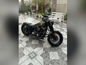 هارلي ديفيدسون  سوفتايل -  2017 - اللون اخضر