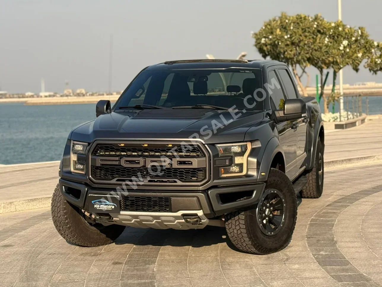 Ford  Raptor  2017  Automatic  299,000 Km  6 Cylinder  Four Wheel Drive (4WD)  Pick Up  Gray