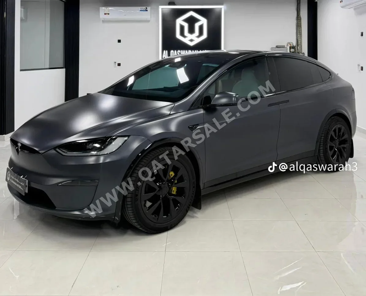Tesla  Model X  100 D  2023  Automatic  30,000 Km  6 Cylinder  Rear Wheel Drive (RWD)  SUV  Gray  With Warranty