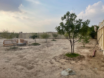 مزارع و منتجعات غير مفروشة  الشمال  10 غرف نوم