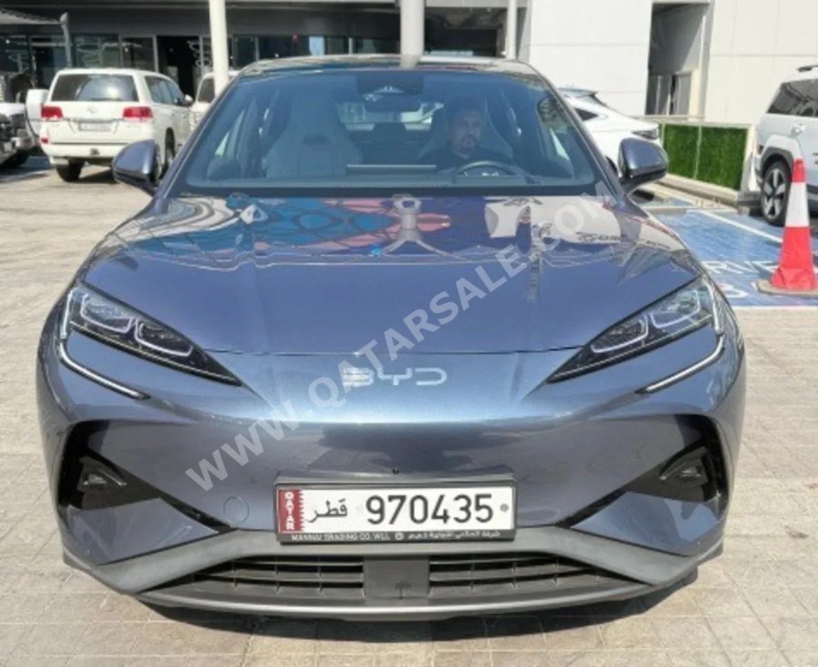 BYD  Sealion  Hatchback  Gray Metallic  2026