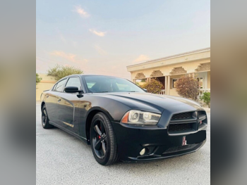 دودج  تشارجر  ار تي  2014  اوتوماتيك  178,000 كم  8 سلندر  دفع خلفي  سيدان  أسود