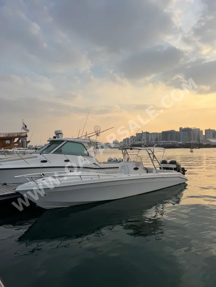 قوارب سريعة مع التيدر