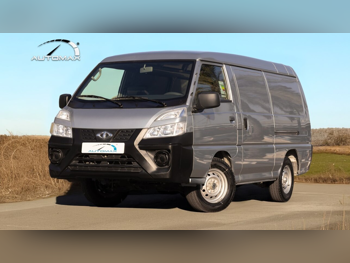 سي ام سي  CMC  2025  عادي  0 كم  4 سلندر  دفع خلفي  فان \ باص  فضي  تحت الضمان