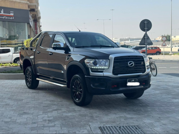 زد اكس اوتو  تيرالورد  2024  اوتوماتيك  20,000 كم  4 سلندر  دفع رباعي  بيكب  أسود  تحت الضمان