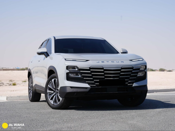 جيتور  داشينغ  في 4  2025  اوتوماتيك  22,000 كم  4 سلندر  دفع رباعي  اس يو في  رمادي  تحت الضمان