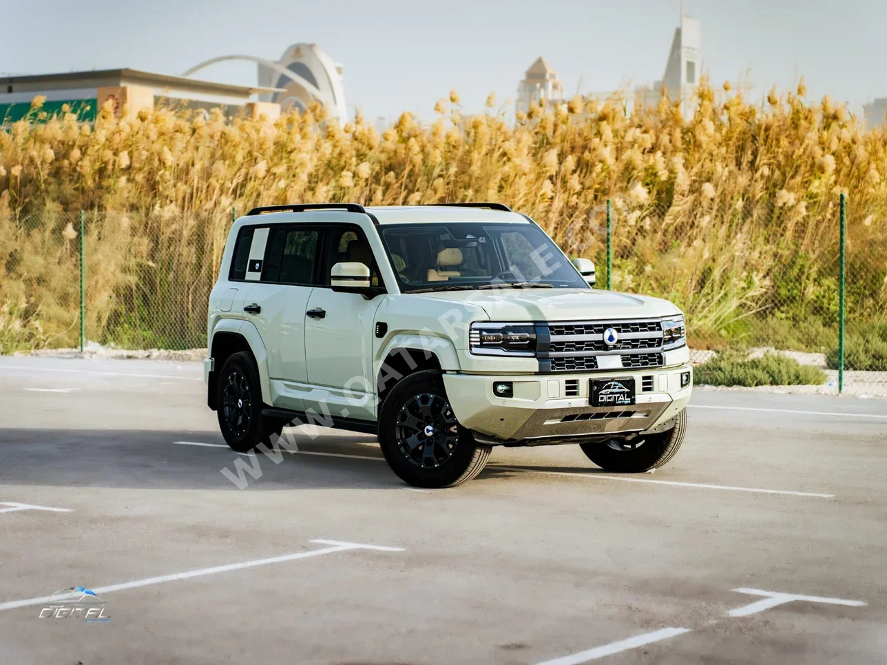 بي واي دي  دينزا  بي 5  2026  اوتوماتيك  2,500 كم  4 سلندر  دفع رباعي  اس يو في  أخضر