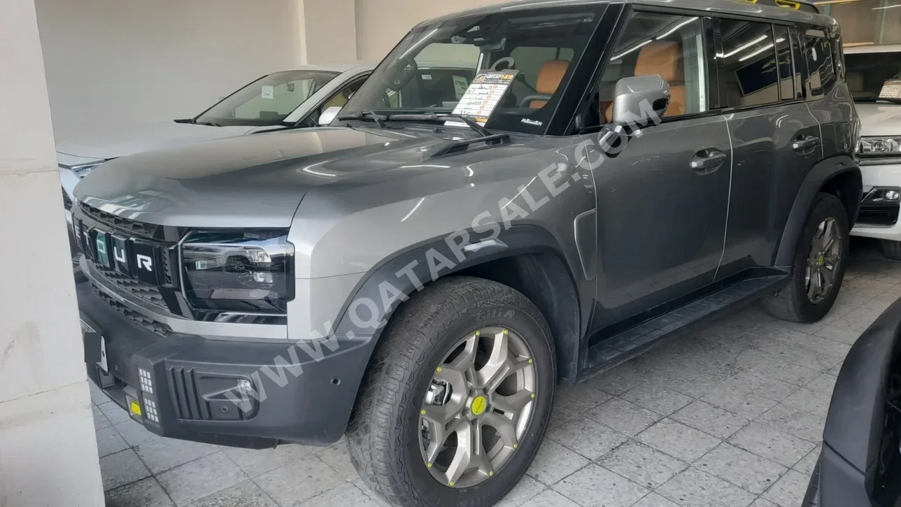 جيتور  تي 2  لكجري بلس  2025  اوتوماتيك  0 كم  4 سلندر  دفع رباعي  اس يو في  رمادي  تحت الضمان