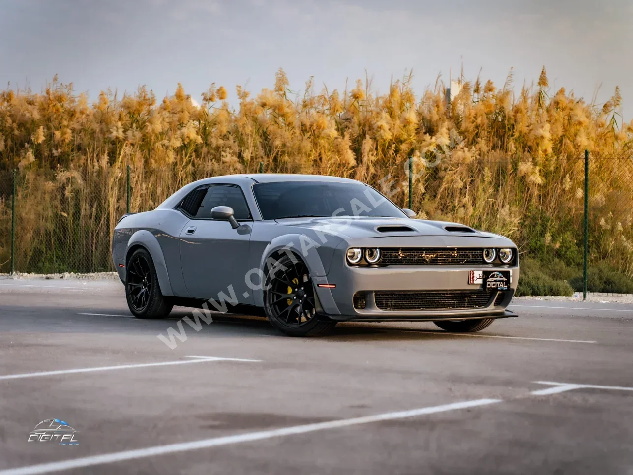 دودج  تشالنجر  تي/اي  2010  اوتوماتيك  219,000 كم  8 سلندر  دفع خلفي  كوبيه \ سبورت  رمادي