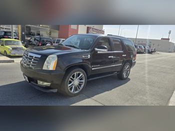 كاديلاك  اسكيليد  2007  اوتوماتيك  182,000 كم  8 سلندر  دفع رباعي  اس يو في  أسود