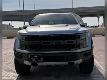 فورد  رابتر  2021  اوتوماتيك  35,000 كم  6 سلندر  دفع رباعي  بيكب  فضي  تحت الضمان
