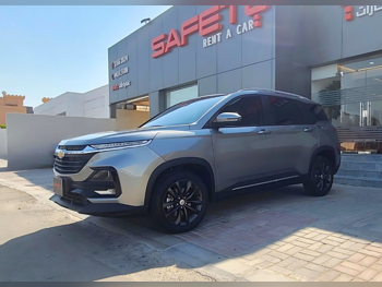 Chevrolet  Captiva  LT  2025  Automatic  27,000 Km  4 Cylinder  Front Wheel Drive (FWD)  SUV  Gray  With Warranty